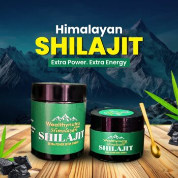 wealthynutra himalayan shilajit - 2
